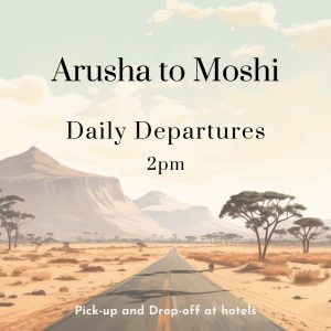 Arusha to Moshi shuttle bus service