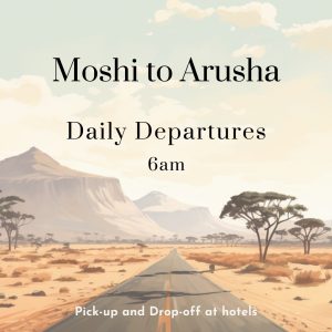 Shuttle service between Moshi and Arusha