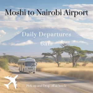 Travel from Moshi to Nairobi Airport
