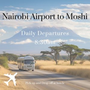 Travel from Nairobi airport to Moshi in Tanzania by bus