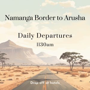 bus from kenya and tanzania border to Arusha